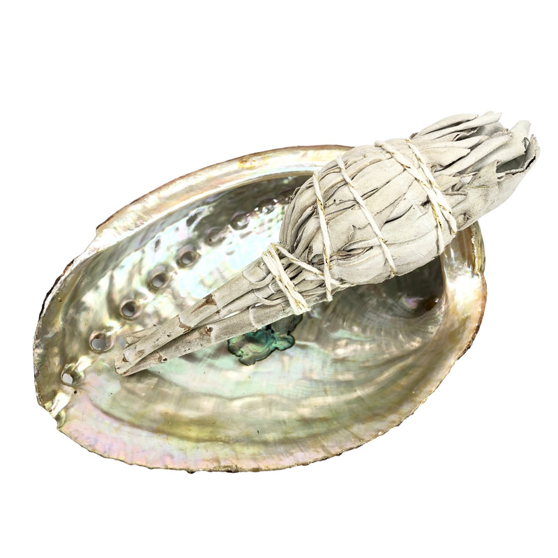 White sage and abalone shell fireproof